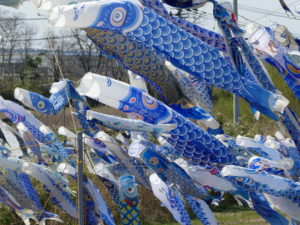 青い鯉のぼりプロジェクト